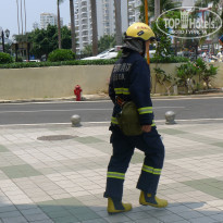 фото из отзыва ID 1424428