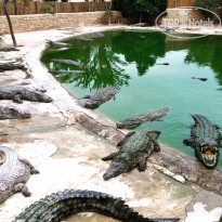 фото из отзыва ID 1424532