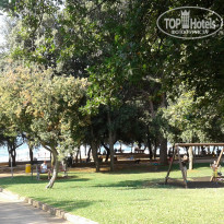 фото из отзыва ID 1424593