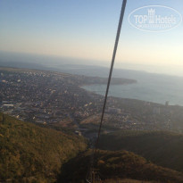 фото из отзыва ID 1424628