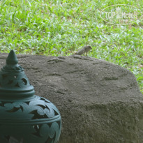 фото из отзыва ID 1424659