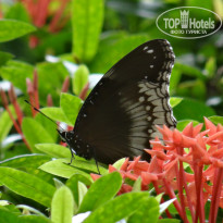 фото из отзыва ID 1424659