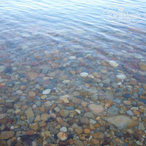 фото из отзыва ID 1424686