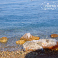 фото из отзыва ID 1424686