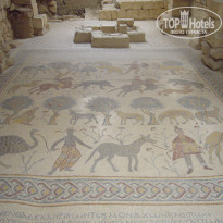 фото из отзыва ID 1424686