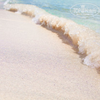 фото из отзыва ID 1424731