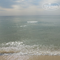 фото из отзыва ID 1424846