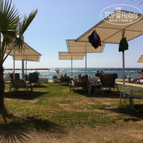 фото из отзыва ID 1424869