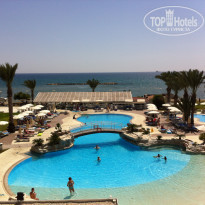 фото из отзыва ID 1424869