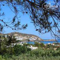 фото из отзыва ID 1424961