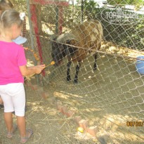 фото из отзыва ID 1424985