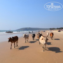 фото из отзыва ID 1425136