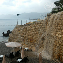 фото из отзыва ID 1425288