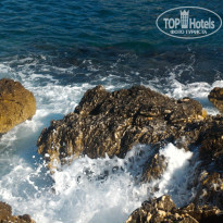 фото из отзыва ID 1425288