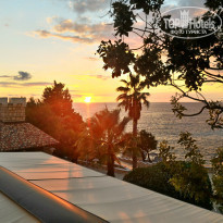 фото из отзыва ID 1425288