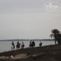 фото из отзыва ID 1425222