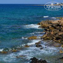 фото из отзыва ID 1425334