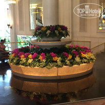 фото из отзыва ID 1425729