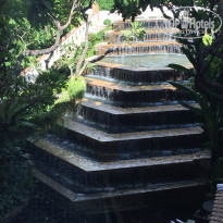 фото из отзыва ID 1425729