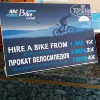 фото из отзыва ID 1425744