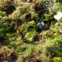 фото из отзыва ID 1425752