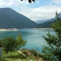 фото из отзыва ID 1425770