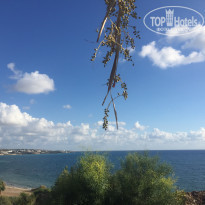 фото из отзыва ID 1425778