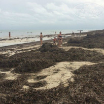 фото из отзыва ID 1425959