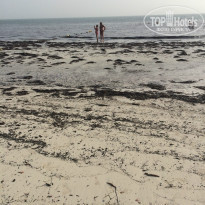 фото из отзыва ID 1425959