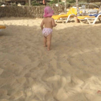 фото из отзыва ID 1425959