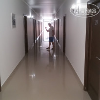 фото из отзыва ID 1426046