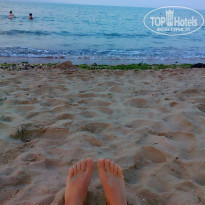 фото из отзыва ID 1426091