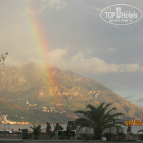 фото из отзыва ID 1426038