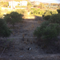 фото из отзыва ID 1426157