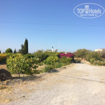 фото из отзыва ID 1426157