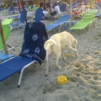 фото из отзыва ID 1426161