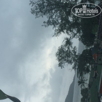 фото из отзыва ID 1426270