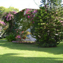 фото из отзыва ID 1426315