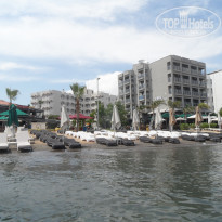 фото из отзыва ID 1426316