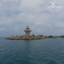 фото из отзыва ID 1426341