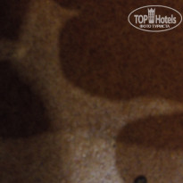 фото из отзыва ID 1426383