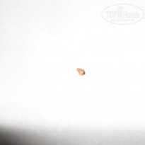 фото из отзыва ID 1426383