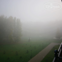 фото из отзыва ID 1426475