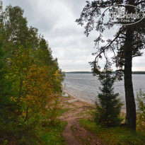 фото из отзыва ID 1426475