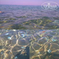 фото из отзыва ID 1426643