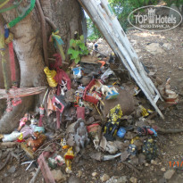 фото из отзыва ID 1426739