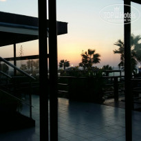 фото из отзыва ID 1426835