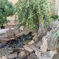 фото из отзыва ID 1426867