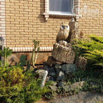 фото из отзыва ID 1426867