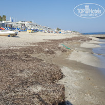 фото из отзыва ID 1426888